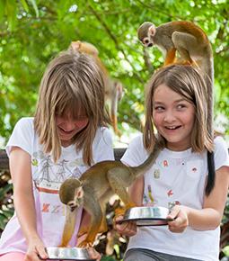 Excursiones y tours para toda la familia en Punta Cana