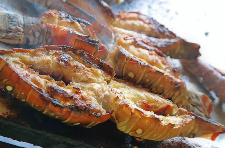 Cayo Arena Puerto Plata