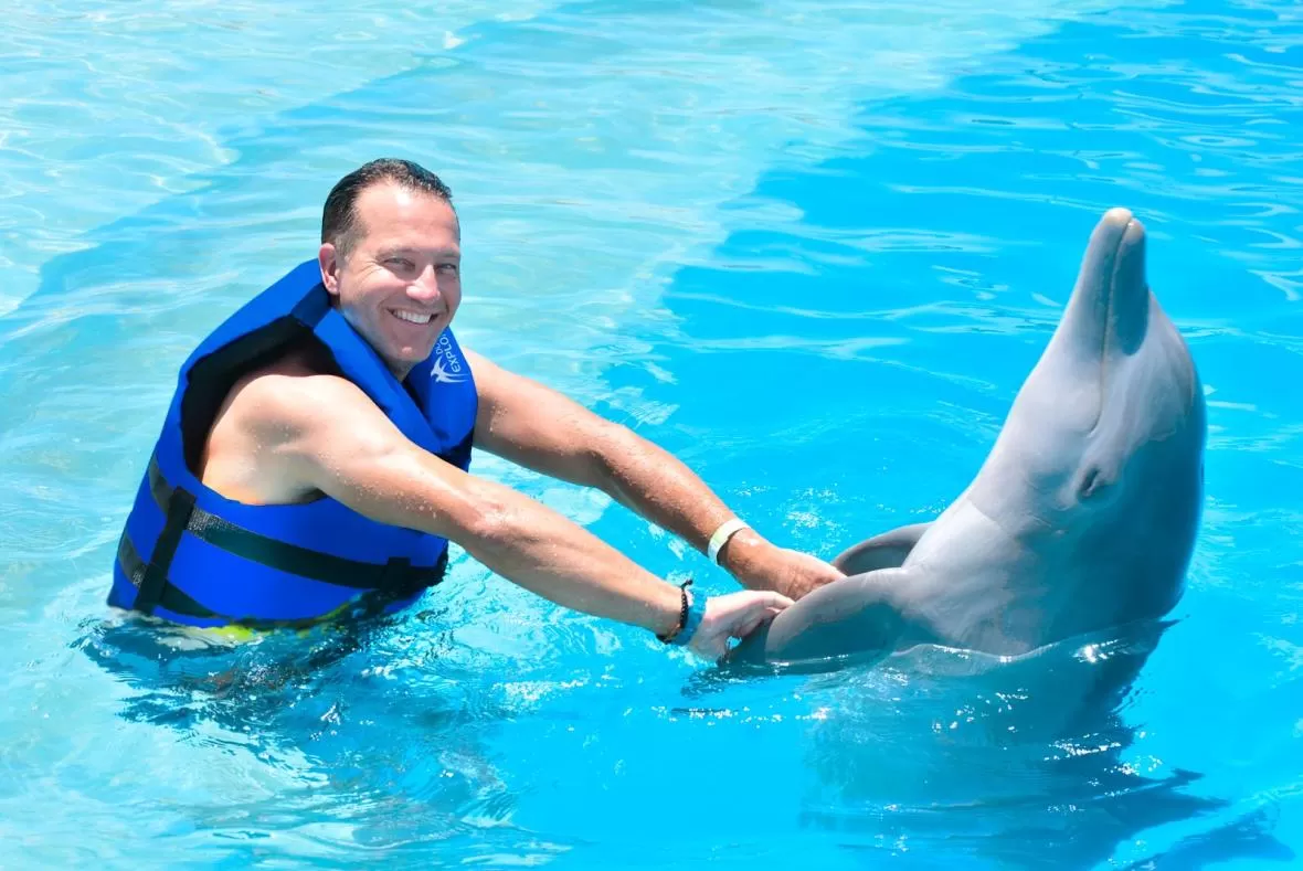 Dolphin Excellence Punta Cana