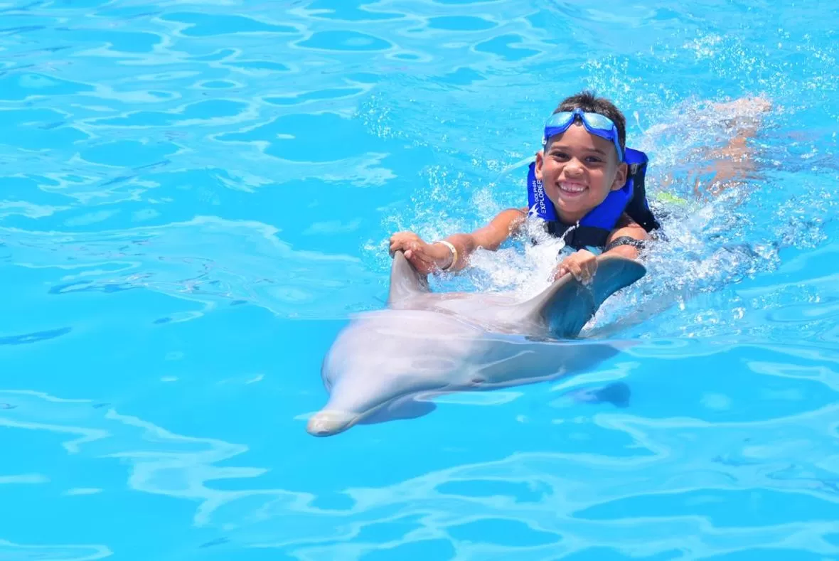Dolphin Excellence Punta Cana