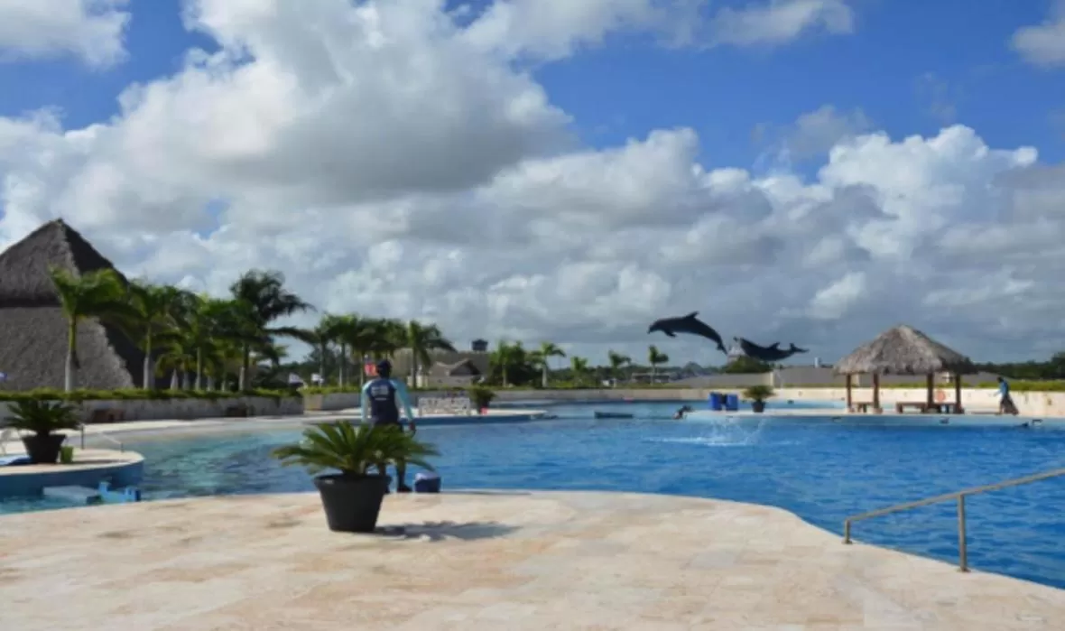 Dolphin Excellence Punta Cana