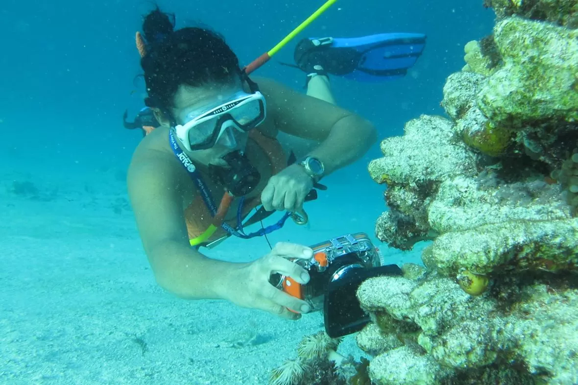 Power Dive Adventure