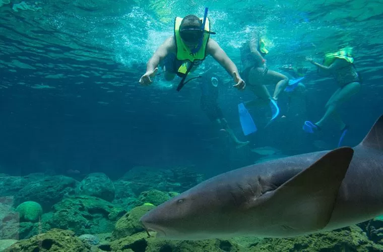 Ocean World Adventure Park