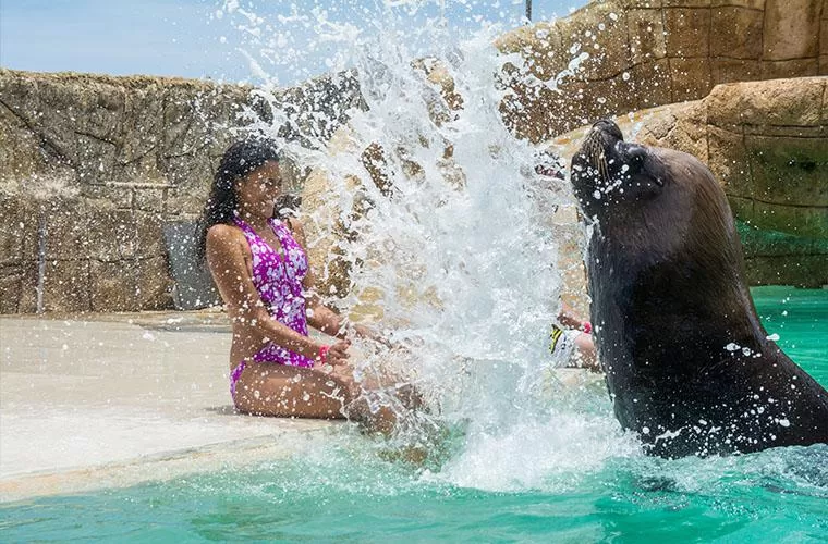 Ocean World Adventure Park