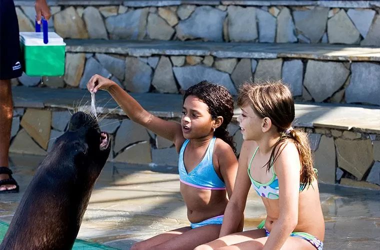 Ocean World Adventure Park