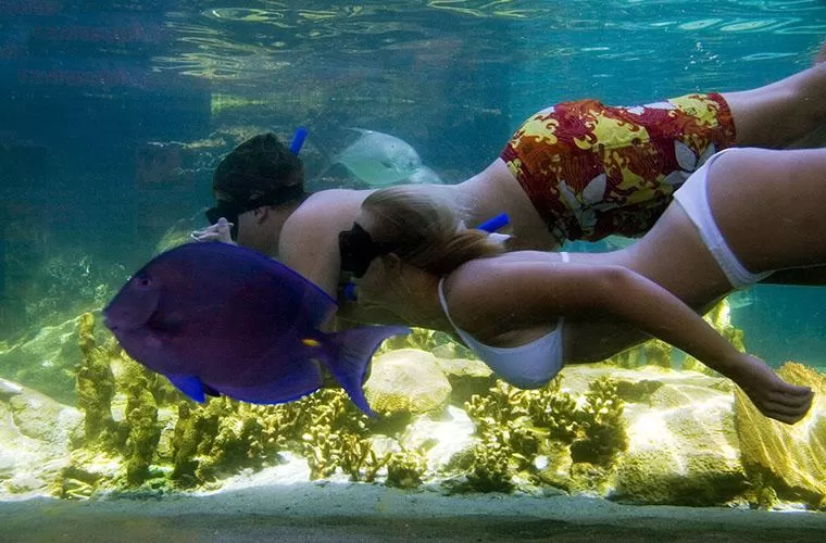 Ocean World Adventure Park