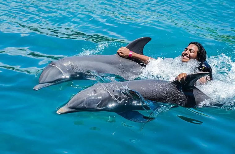 Ocean World Adventure Park