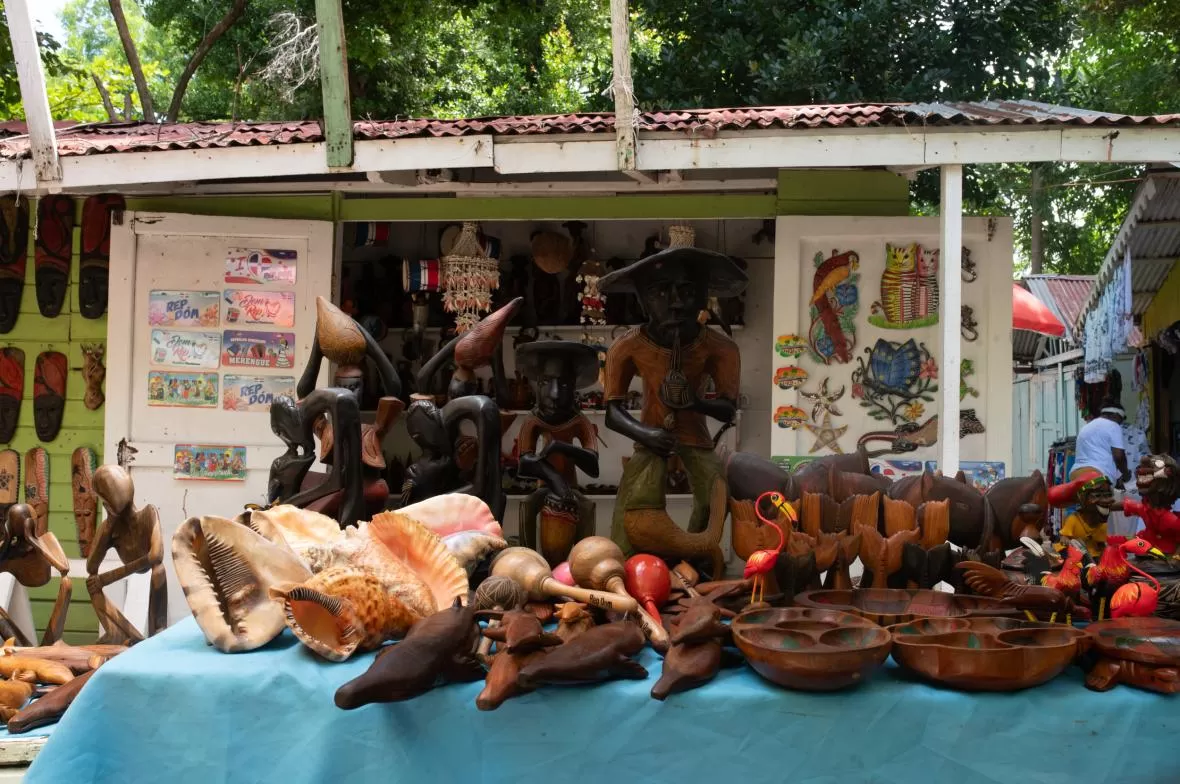 Excursión a Cayo Levantado (Isla Bacardí)