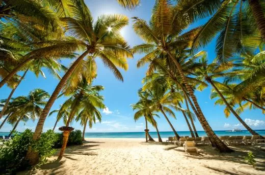 Catalina & Saona Sunset Exclusive