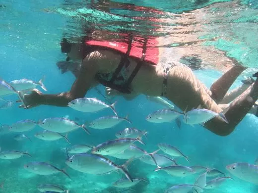 Catalina & Saona Sunset Exclusive