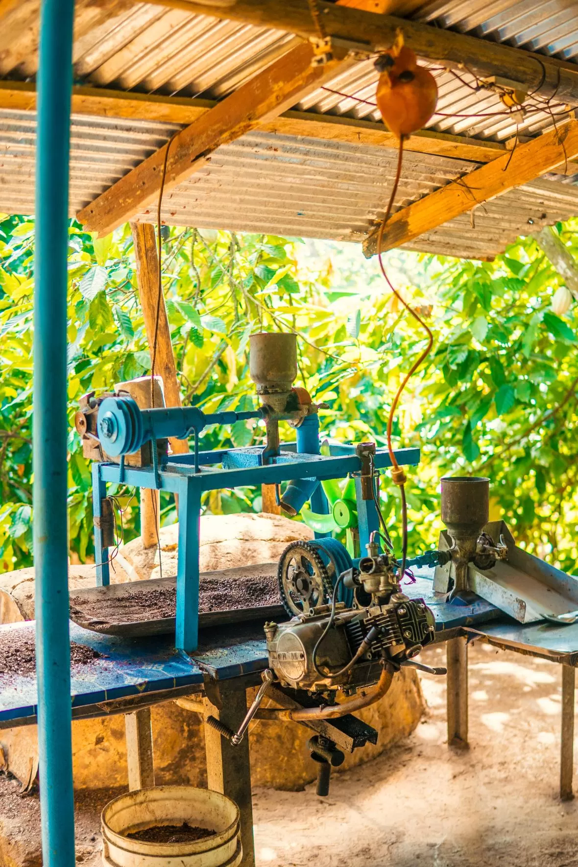 Eco Limón Miches Adventure