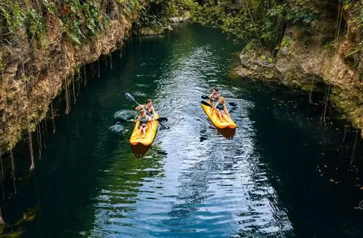 Xenotes