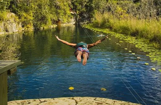 Xenotes