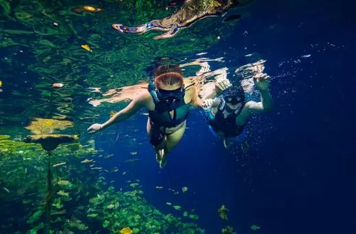 Xenotes