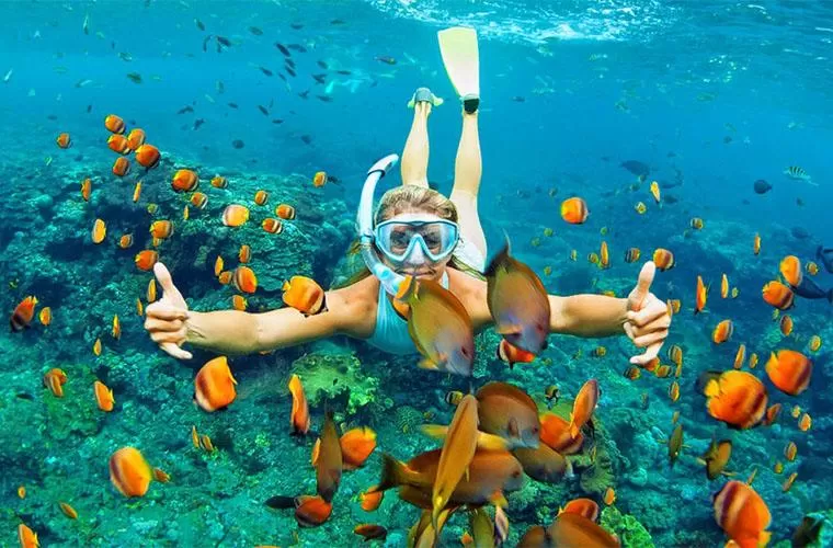 Excursión a Isla Catalina con Snorkel