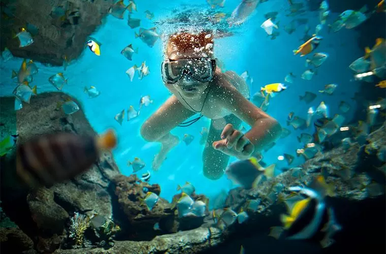 Excursión a Isla Catalina con Snorkel