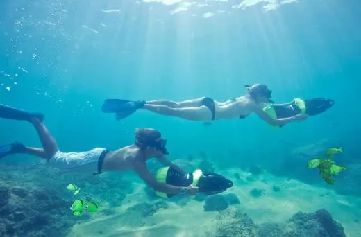Snorkeling Adventure in Los Cabos Snorkeling Adventure in Los Cabos