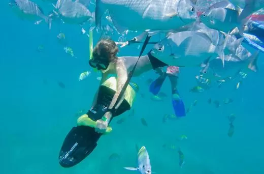 Snorkeling Adventure in Los Cabos Snorkeling Adventure in Los Cabos