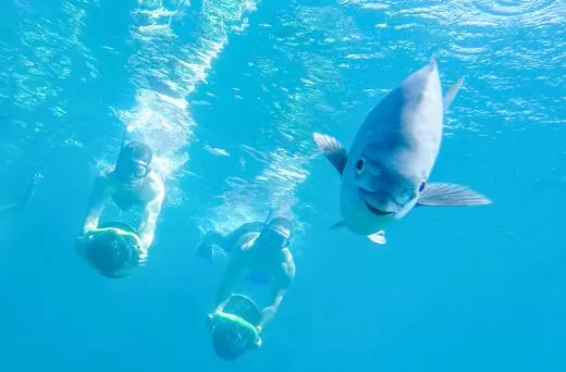 Snorkeling Adventure in Los Cabos Snorkeling Adventure in Los Cabos