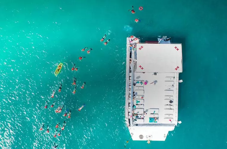 Dia Fantástico: Terra e Mar