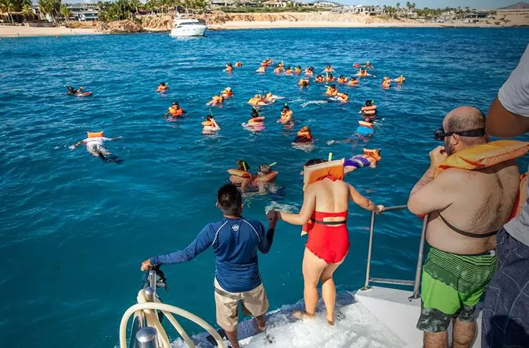 Dia Fantástico: Terra e Mar