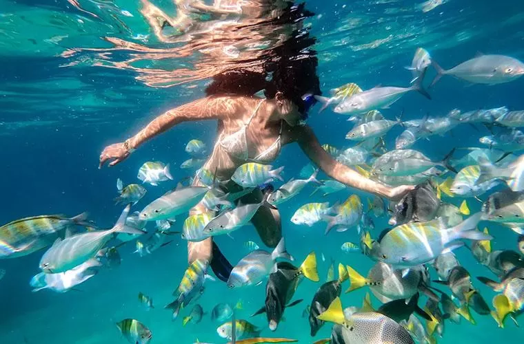 Dia Fantástico: Terra e Mar