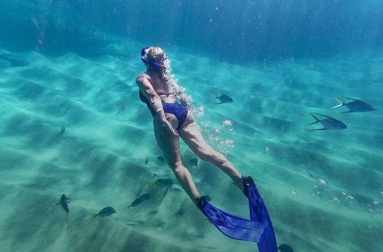 Dia Fantástico: Terra e Mar