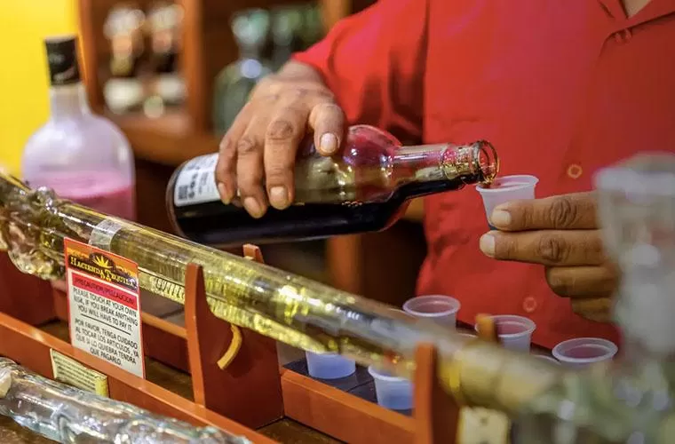 Dia Fantástico: Terra e Mar