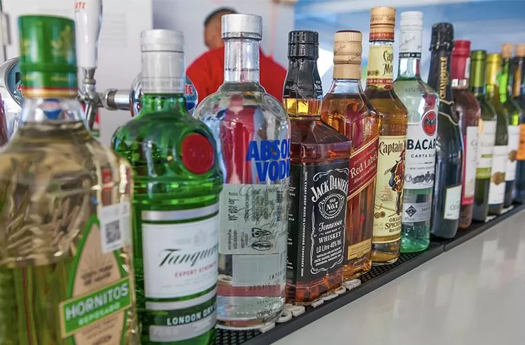 Dia Fantástico: Terra e Mar