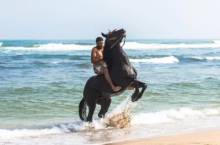 Horseback Riding Tour in Punta Cana
