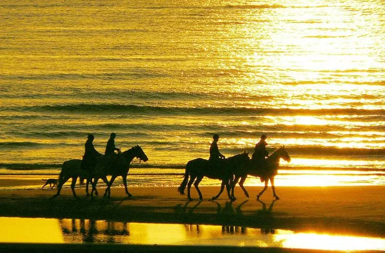 Horseback Riding Tour in Punta Cana