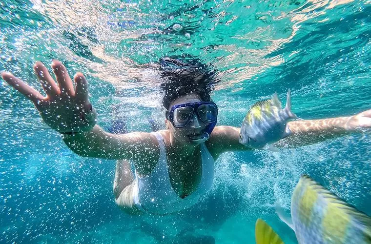 Pelican Rock Snorkeling Tour