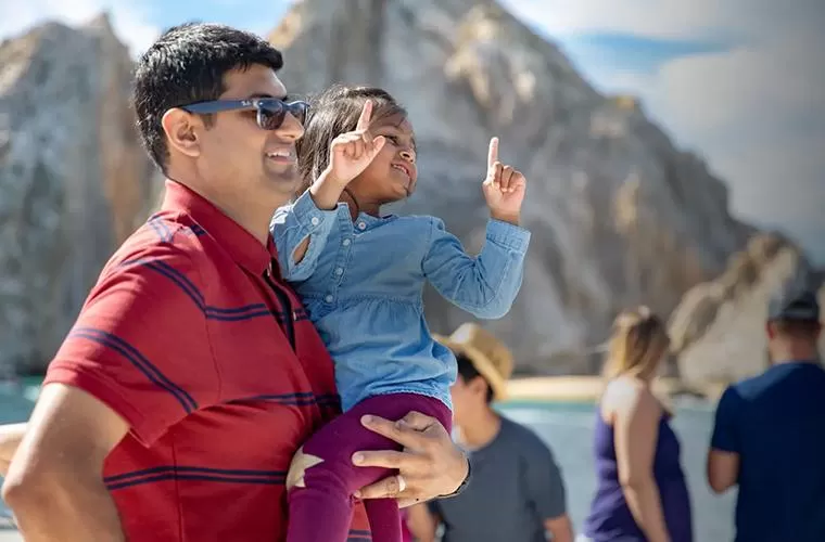 Whale Watching Los Cabos