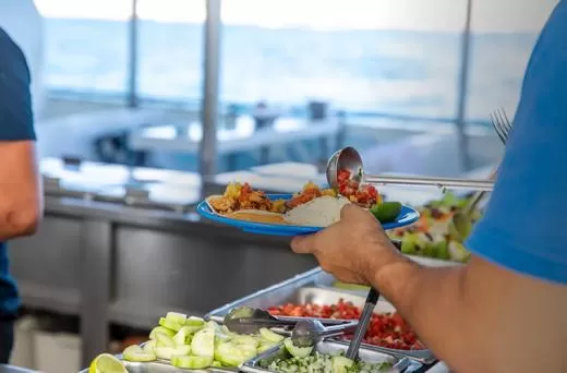 Whale Watching Los Cabos