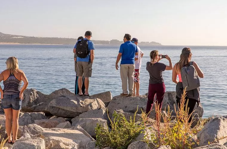 Pacific Dinner Cruise Los Cabos