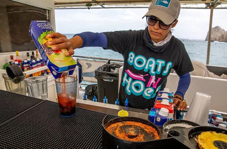 Pacific Dinner Cruise Los Cabos