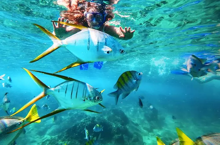 Amazing Day in Los Cabos