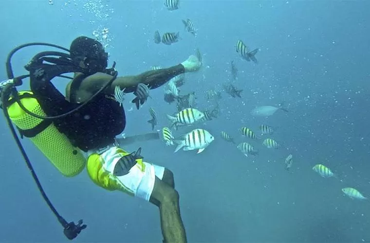 Submarino & Snorkeling Adventure