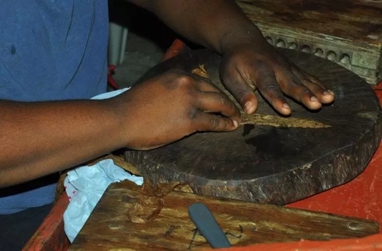 Supreme Truck Safari Punta Cana