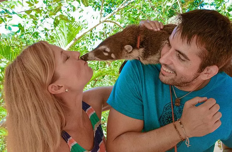 Los Veranos Canopy Tour