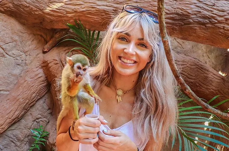 Los Veranos Canopy Tour