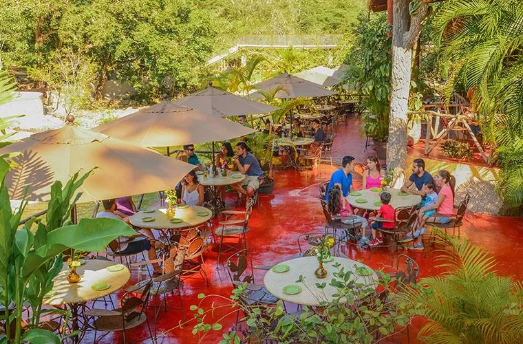 Los Veranos Canopy Tour