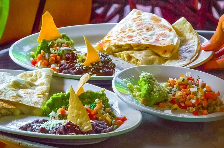 Los Veranos Canopy Tour