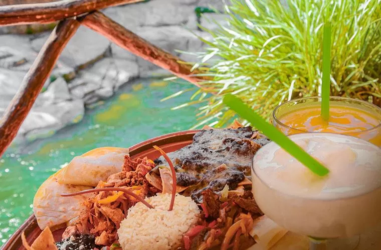 Los Veranos Canopy Tour