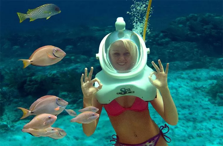 Seaquarium Tour Punta Cana