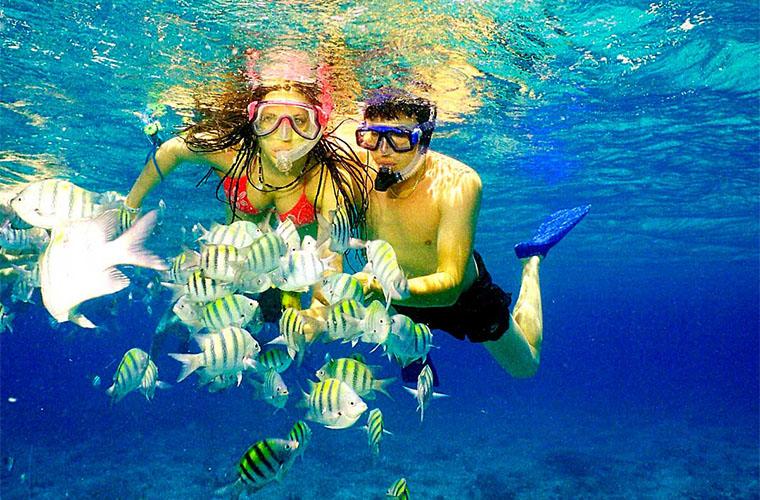 Snorkel Tour in Catalina Island Otium Tour Punta Cana