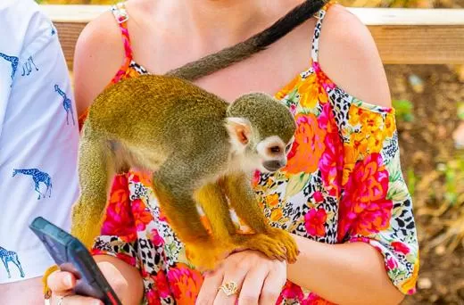Monkeyland Safari Puerto Plata