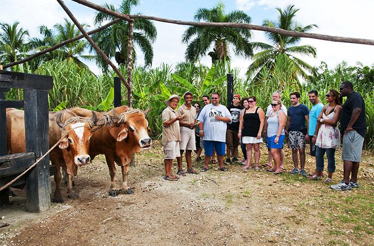 Bávaro Runners Otium Tour Punta Cana