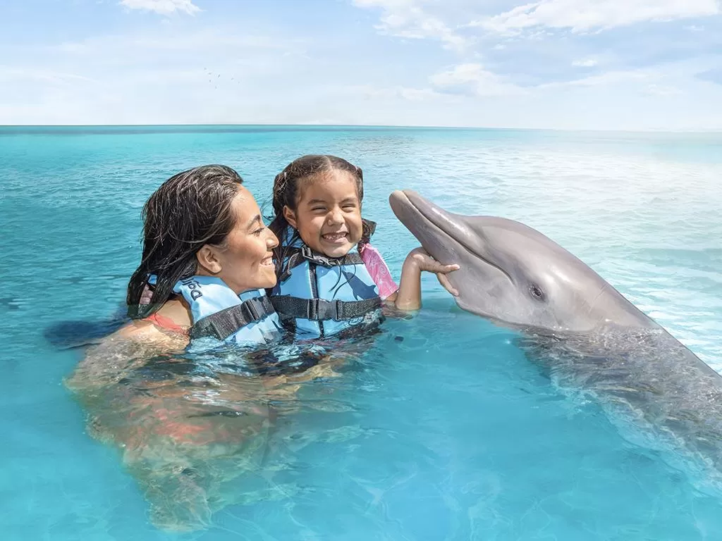 Dolphin Discovery Isla Mujeres, Cancún