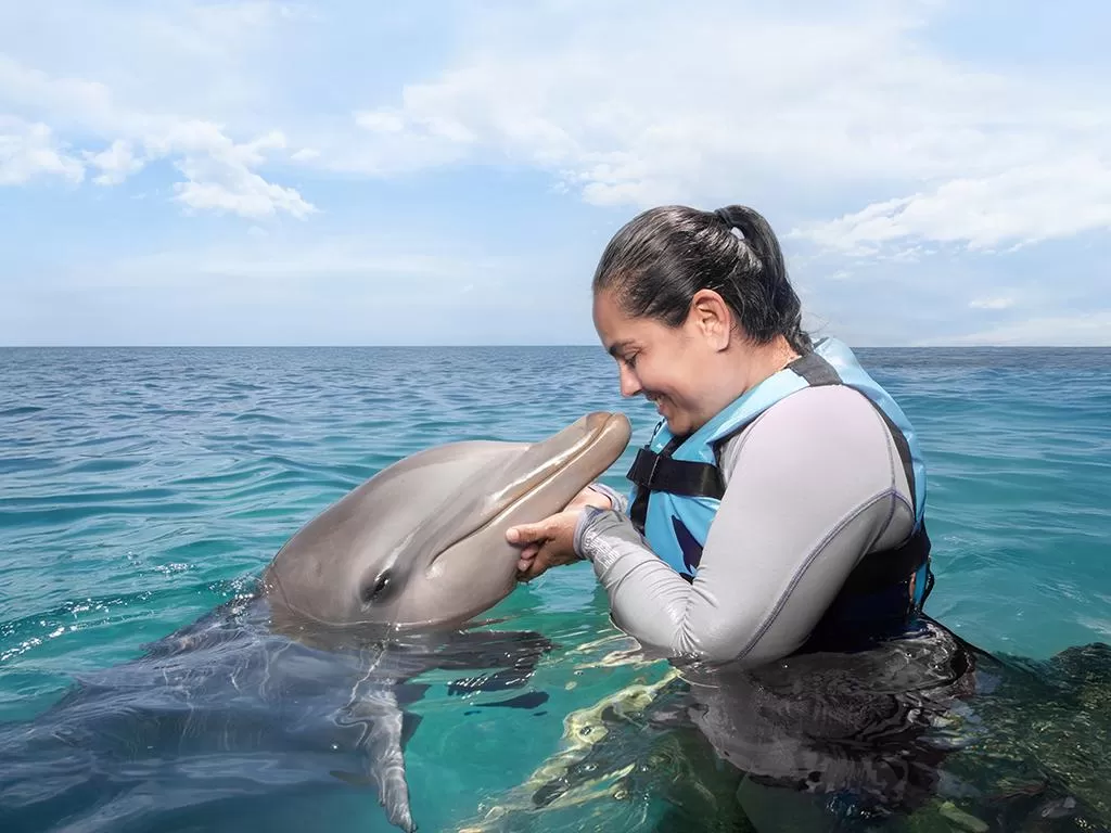 Dolphin Discovery Isla Mujeres, Cancún